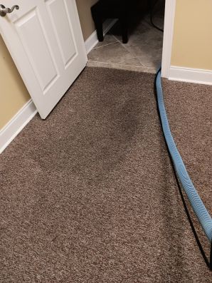 Carpet Cleaning Services in Baton Rouge, LA (1)