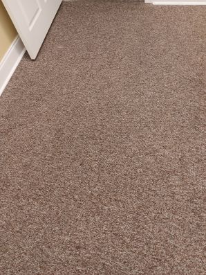 Carpet Cleaning Services in Baton Rouge, LA (2)