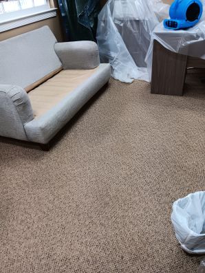 Carpet Cleaning Services in Denham Springs, LA (2)