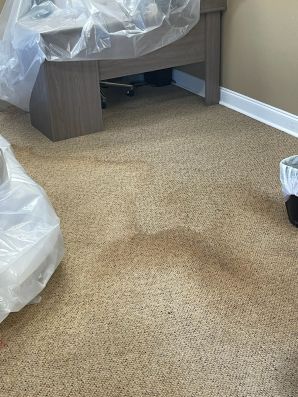 Carpet Cleaning Services in Denham Springs, LA (1)