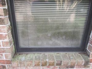 Pressure Washing in Baker, LA (2)